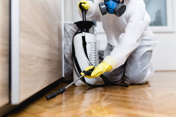 Best Rat Extermination Near Me  in Holyoke, MA