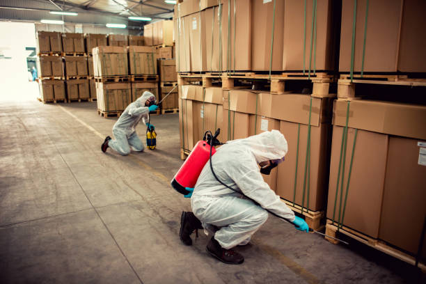 Best Wasp Removal Services  in Holyoke, MA
