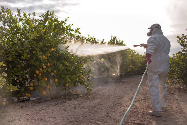Best Best Pest Control Companies  in Holyoke, MA